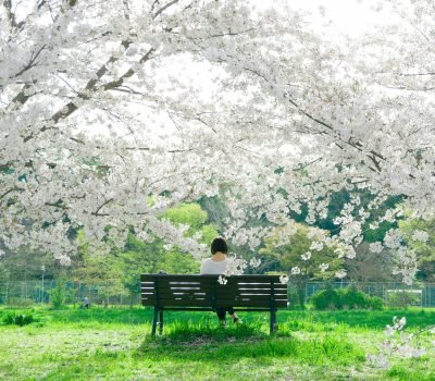 Viajar solo a Japón