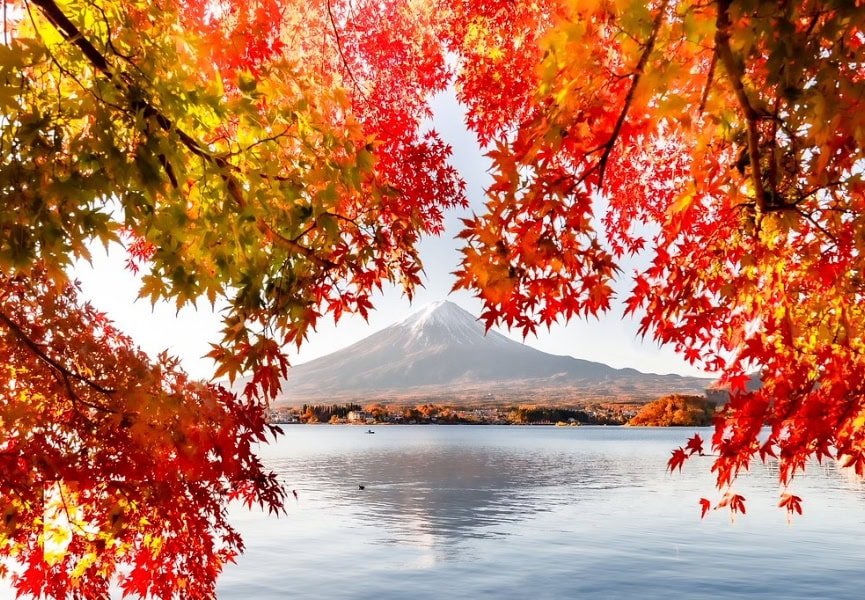 monte fuji en otoño con el momiji