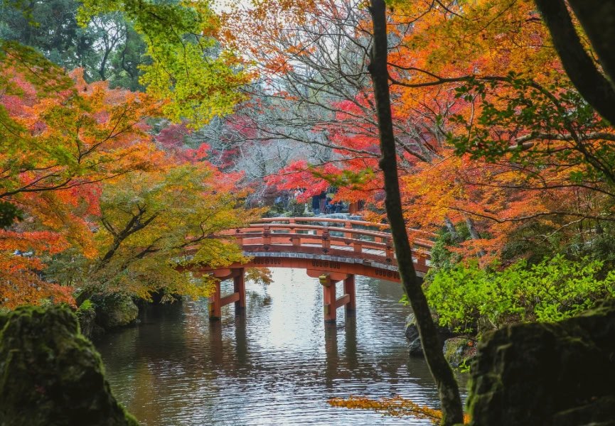 puente momiji