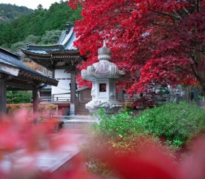 El momiji: La magia del otoño en Japón