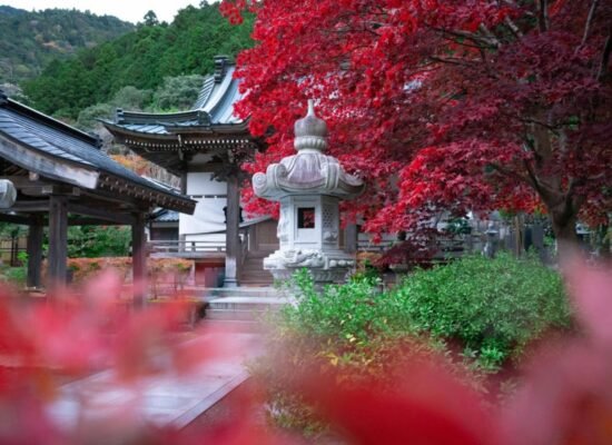 El momiji: La magia del otoño en Japón