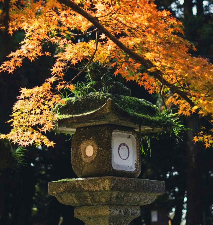 toro de piedra en otoño con el momiji